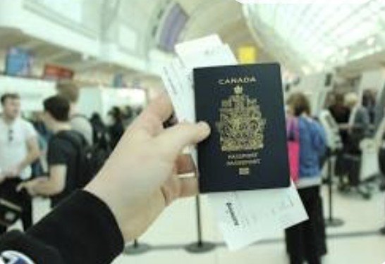 south korea starter visa